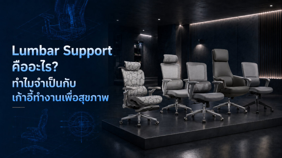 Lumbar Support คืออะไร? ทำไมจำเป็นกับเก้าอี้ทำงานเพื่อสุขภาพ