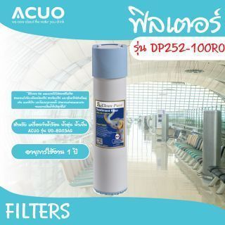ฟิลเตอร์ รุ่น DP252-100RO