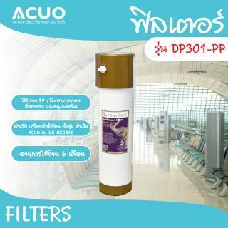ฟิลเตอร์ รุ่น DP301-PP